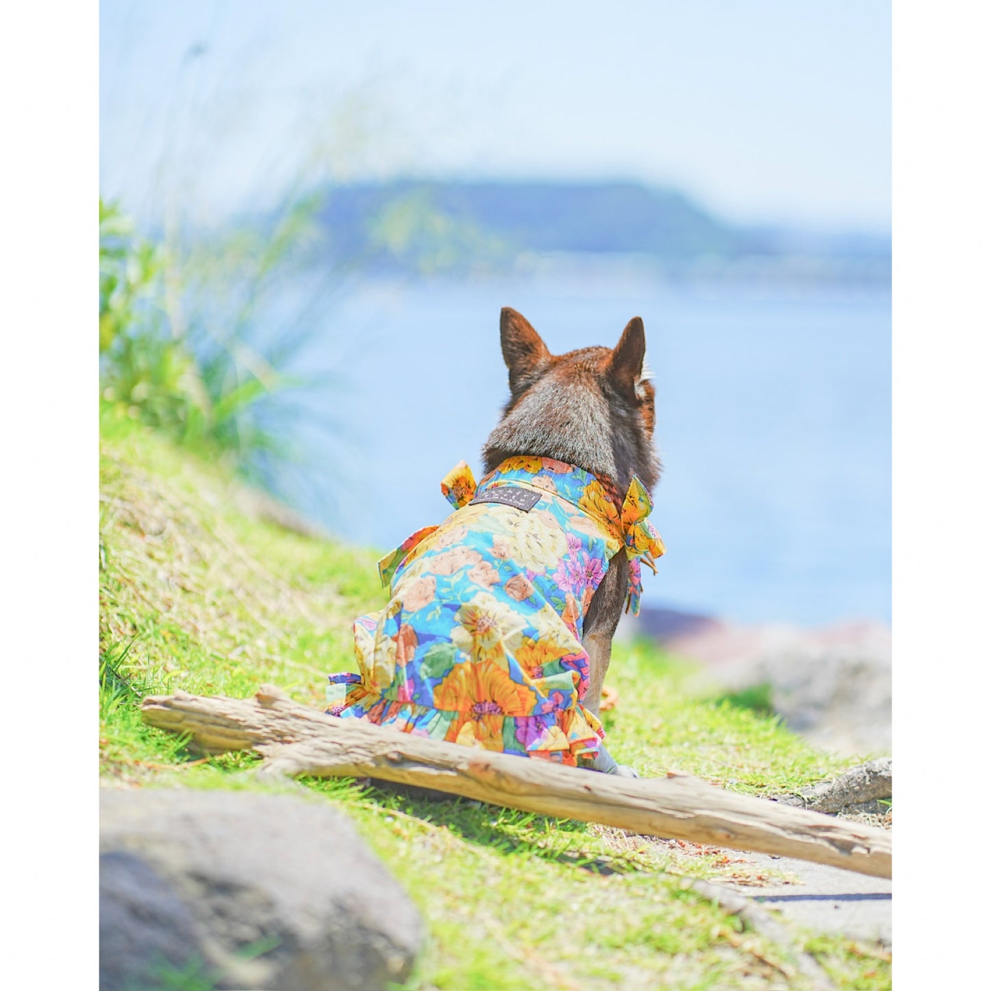 Tropical Balloon Tops