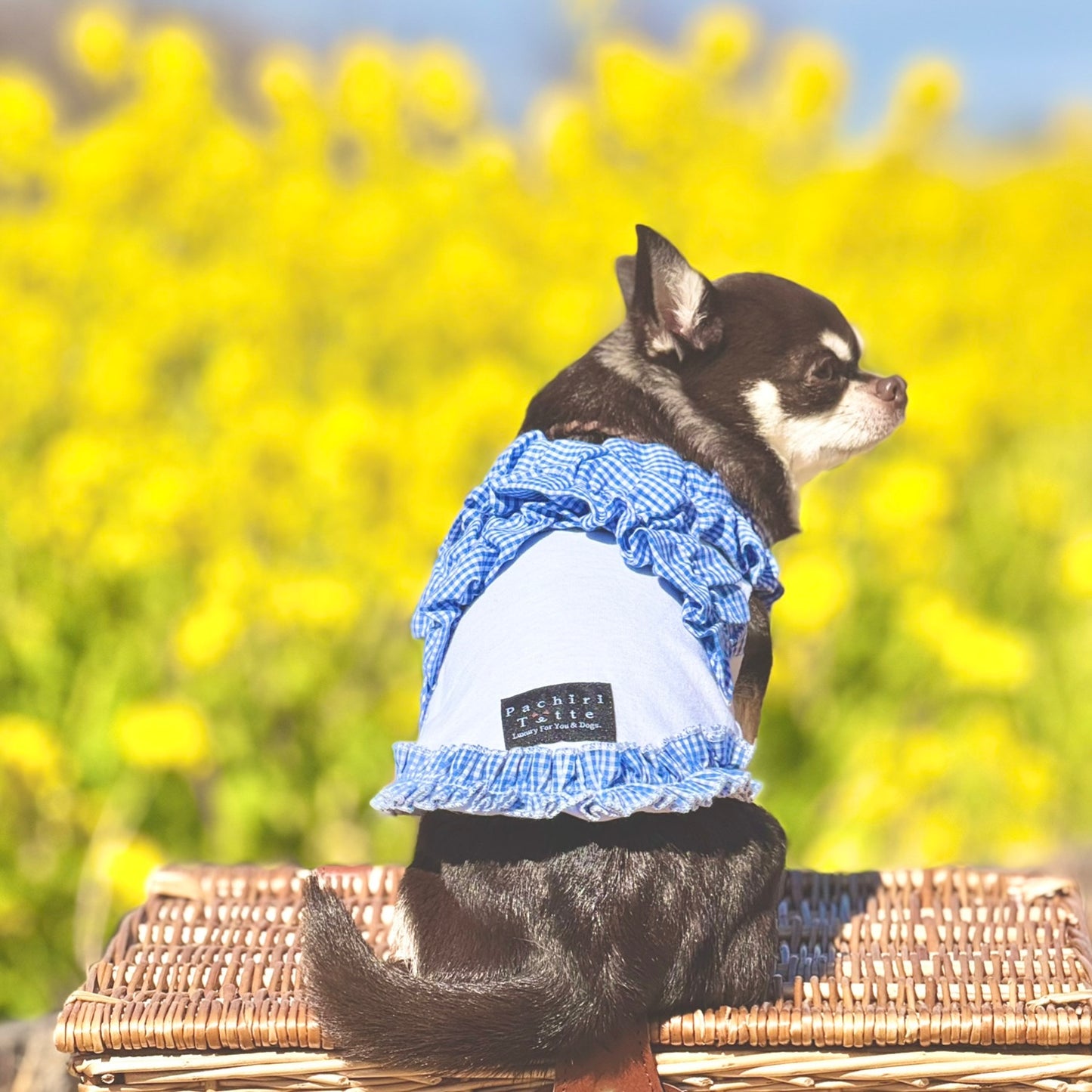 MoriMori Tops -gingham- Blue