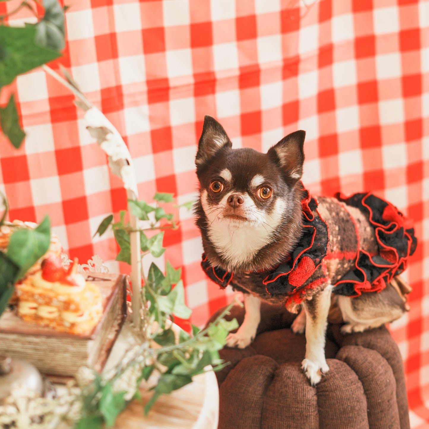 チョコっとニット　ブラック