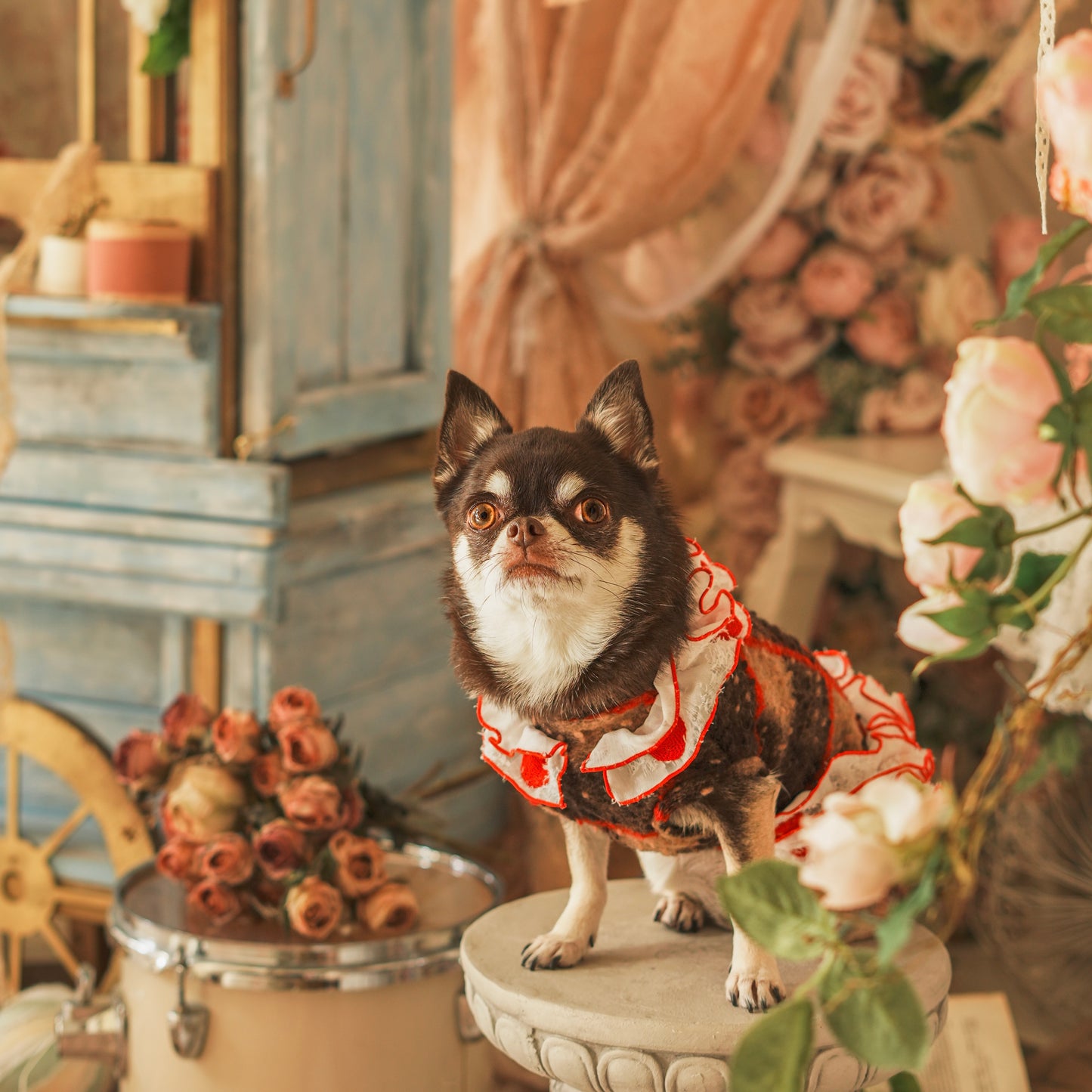 チョコっとニット　ホワイト