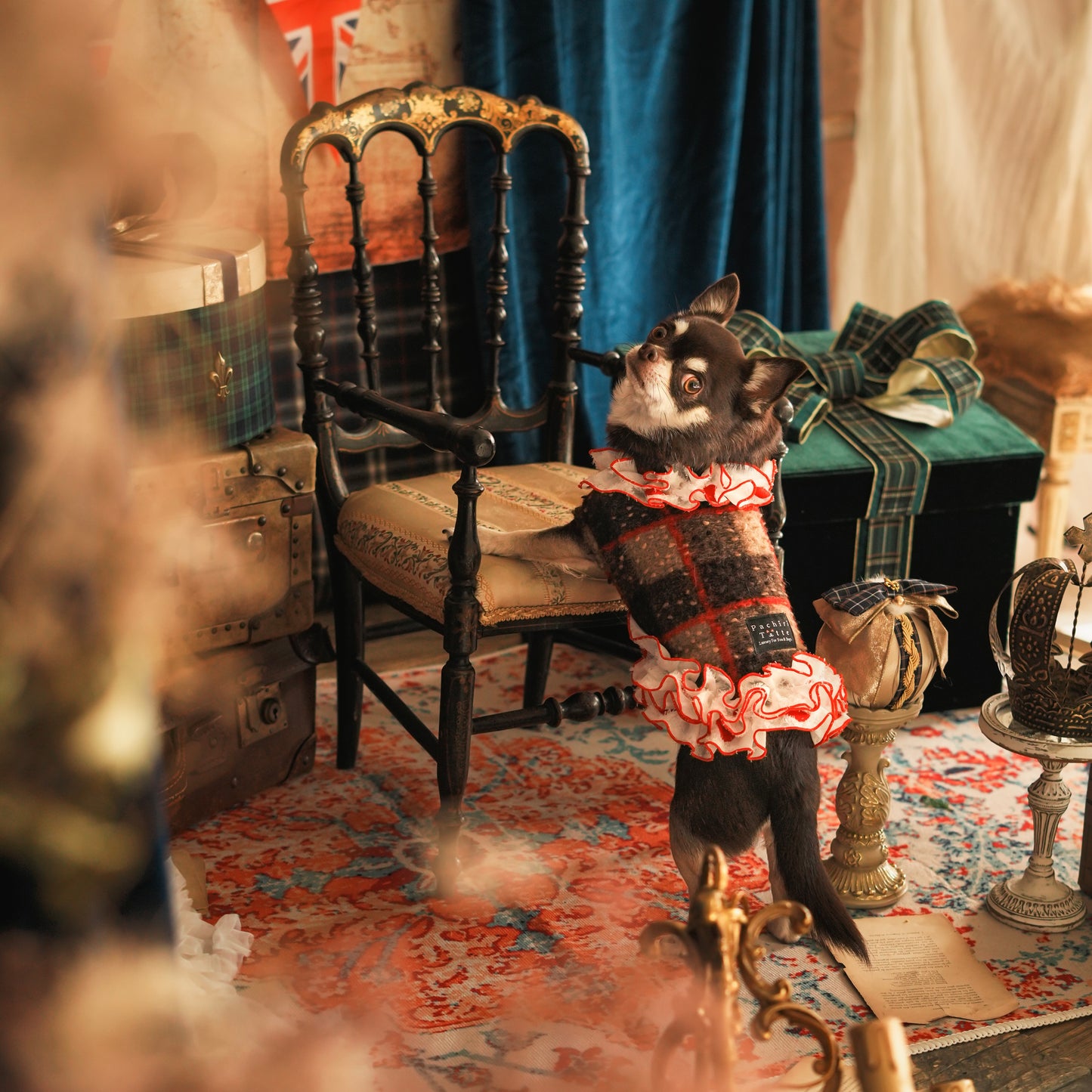 チョコっとニット　ホワイト